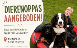 Opvang en uitlaatservice nieuw in de buurt